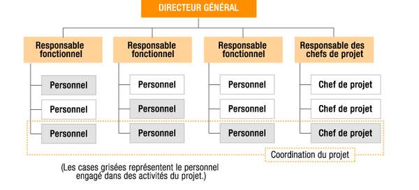 Exemple d’une structure organisationnelle matricielle